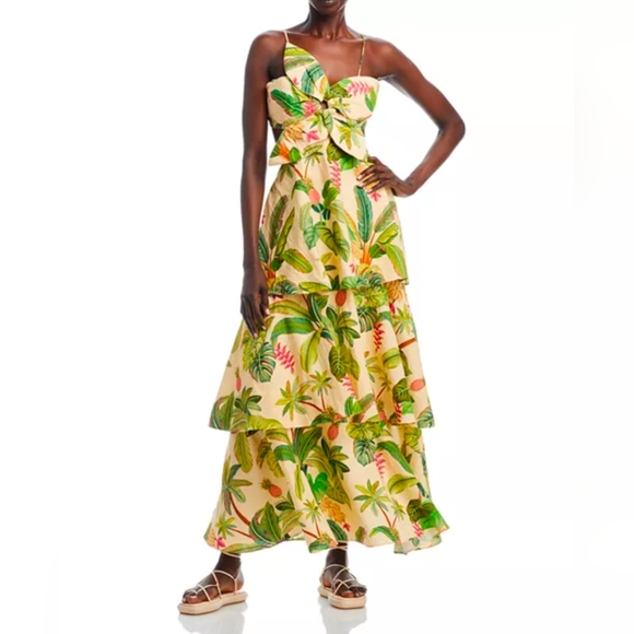 FARM Rio Dresses & Skirts - Farm Rio Fruit Forest Open-Back Floral-Print Linen-Blend Maxi Dress Size Medium